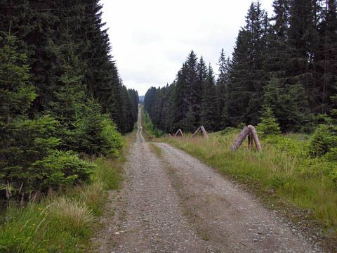 Foto 44